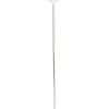 Dollarstore Ballonger>Ballongpinnar 10-pack
