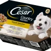 Dollarstore Hundmat>Blötfoder Cesar