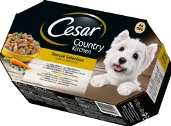 Dollarstore Hundmat>Blötfoder Cesar