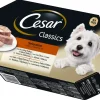 Dollarstore Hundmat>Blötfoder Cesar