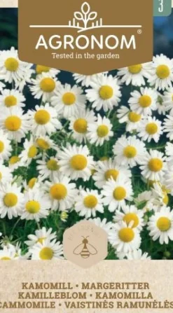 Dollarstore Blomfröer & Grönsaksfröer>Frö Kamomill