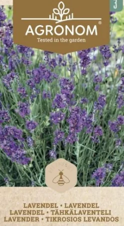 Dollarstore Blomfröer & Grönsaksfröer>Frö Lavendel