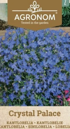 Dollarstore Blomfröer & Grönsaksfröer>Frö Lobelia Crystal