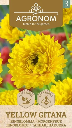 Dollarstore Blomfröer & Grönsaksfröer>Frö Marigold Gul