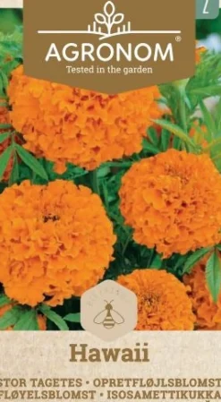 Dollarstore Blomfröer & Grönsaksfröer>Frö Marigold Hawaii