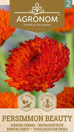 Dollarstore Blomfröer & Grönsaksfröer>Frö Marigold Persimmon
