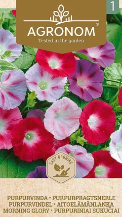 Dollarstore Blomfröer & Grönsaksfröer>Frö Morning Glory