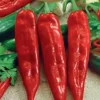 Dollarstore Blomfröer & Grönsaksfröer>Frö Paprika Anaheim