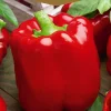 Dollarstore Blomfröer & Grönsaksfröer>Frö Paprika California