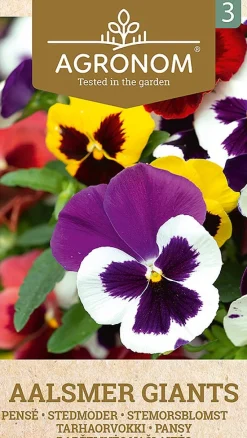 Dollarstore Blomfröer & Grönsaksfröer>Frö Pensé Aalsmer
