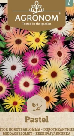 Dollarstore Blomfröer & Grönsaksfröer>Frö Prästkrage Pastel