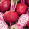 Dollarstore Blomfröer & Grönsaksfröer>Frö Rödbeta Di Chioggia