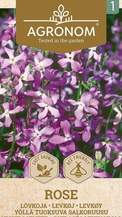 Dollarstore Blomfröer & Grönsaksfröer>Frö Ros Night-Scented
