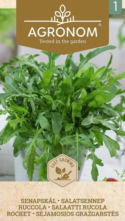 Dollarstore Blomfröer & Grönsaksfröer>Frö Ruccola