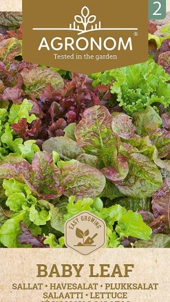 Dollarstore Blomfröer & Grönsaksfröer>Frö Sallad Baby Leaf
