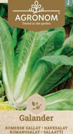 Dollarstore Blomfröer & Grönsaksfröer>Frö Sallad Galander