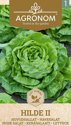 Dollarstore Blomfröer & Grönsaksfröer>Frö Sallad Hilde