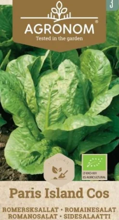 Dollarstore Blomfröer & Grönsaksfröer>Frö Sallad Paris Island
