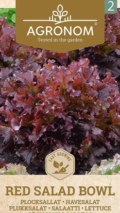 Dollarstore Blomfröer & Grönsaksfröer>Frö Sallad Red