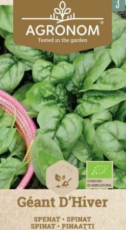 Dollarstore Blomfröer & Grönsaksfröer>Frö Spenat Geant D'Hiver