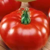 Dollarstore Blomfröer & Grönsaksfröer>Frö Tomat Marmande