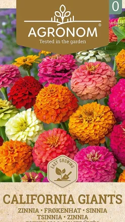 Dollarstore Blomfröer & Grönsaksfröer>Frö Zinnia California