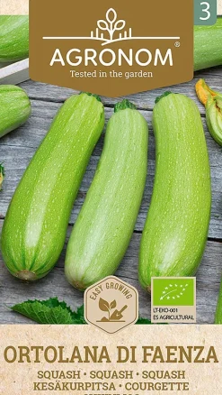 Dollarstore Blomfröer & Grönsaksfröer>Frö Zucchini Di Faenza