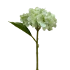 Dollarstore Dekoration>Hortensia