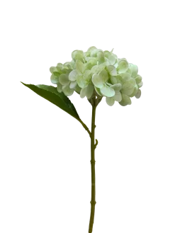 Dollarstore Dekoration>Hortensia