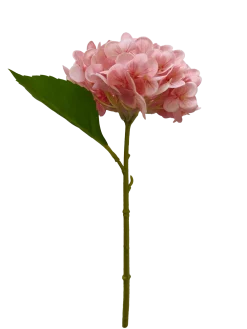Dollarstore Dekoration>Hortensia