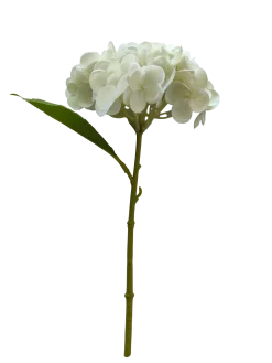 Dollarstore Dekoration>Hortensia