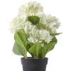 Dollarstore Dekoration>Konstväxt Hortensia