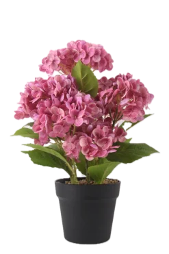 Dollarstore Dekoration>Konstväxt Hortensia