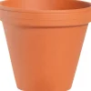 Dollarstore Krukor & Fat>Kruka Terrakotta