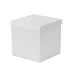 Dollarstore Presentpåsar & Boxar>Presentbox