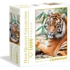 Dollarstore Spel & Pussel>Pussel Samutran Tiger